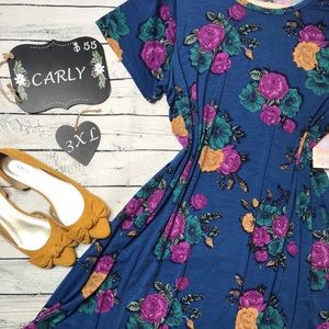 3XL Lularoe Carly Dress